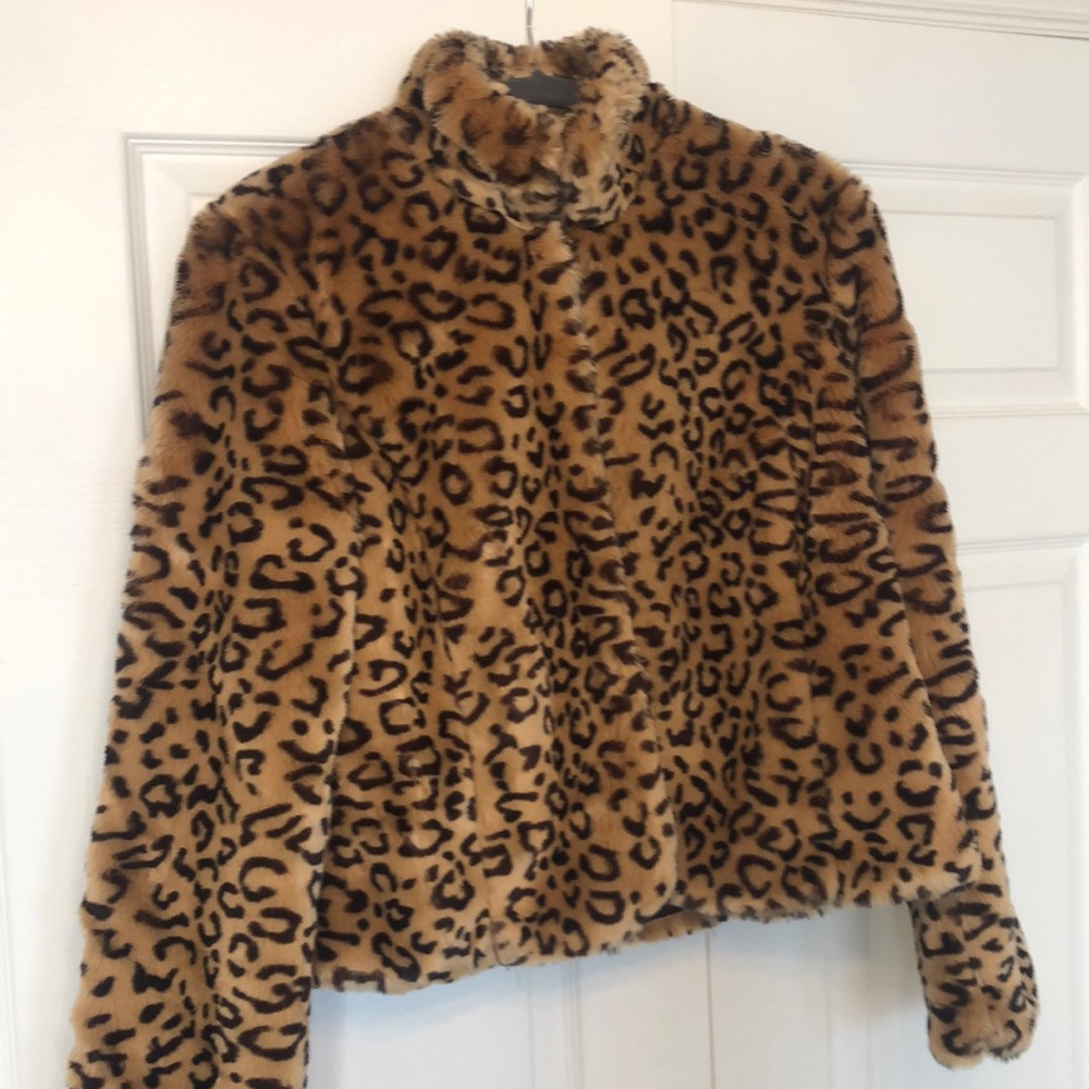 Beautiful Ralph Lauren Leopard Waist Length Coat Size Large